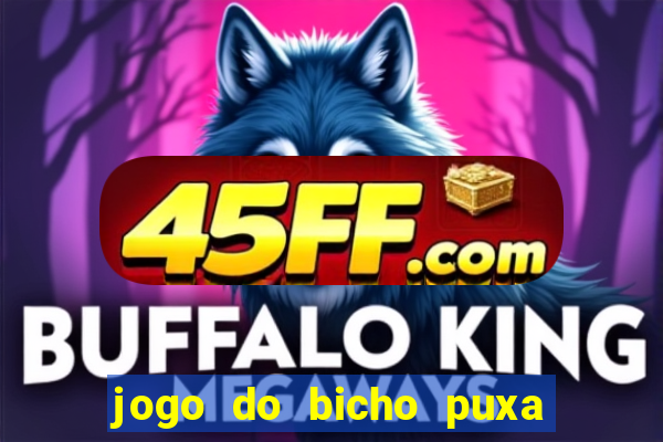 jogo do bicho puxa de dona maria